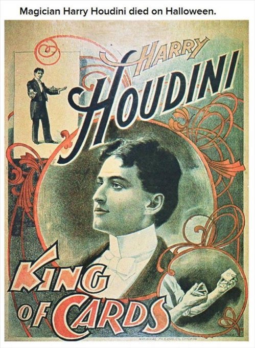 harry houdini poster - Magician Harry Houdini died on Halloween. Arry 1 Houdini King Of Cards