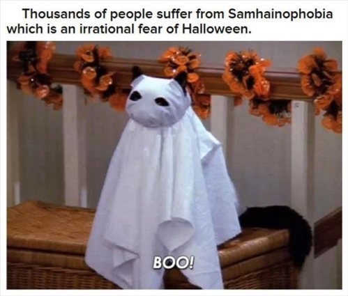 salem sabrina halloween - Thousands of people suffer from Samhainophobia which is an irrational fear of Halloween. Boo!