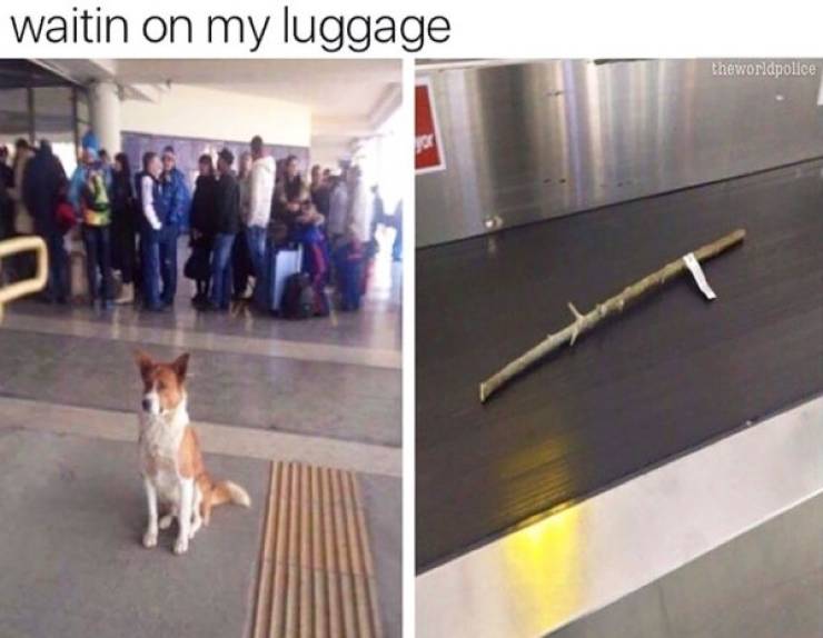 waiting for my luggage meme - waitin on my luggage theworldpolice