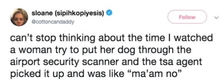 sloane sipihkopiyesis can't stop thinking about the time I watched a woman try to put her dog through the airport security scanner and the tsa agent picked it up and was "ma'am no"