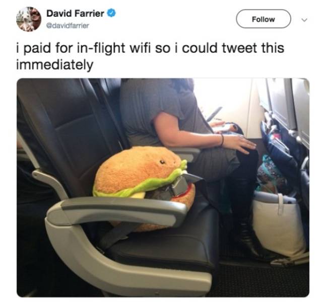 wholesome tweet - David Farrier i paid for inflight wifi so i could tweet this immediately