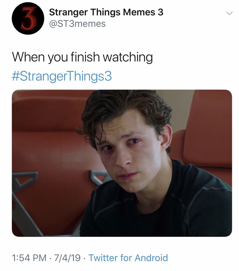stranger things memes - Stranger Things Memes 3 When you finish watching 7419 . Twitter for Android