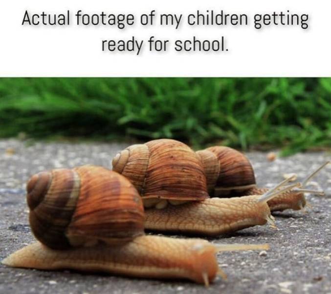 funny parenting meme - Actual footage of my children getting ready for school.