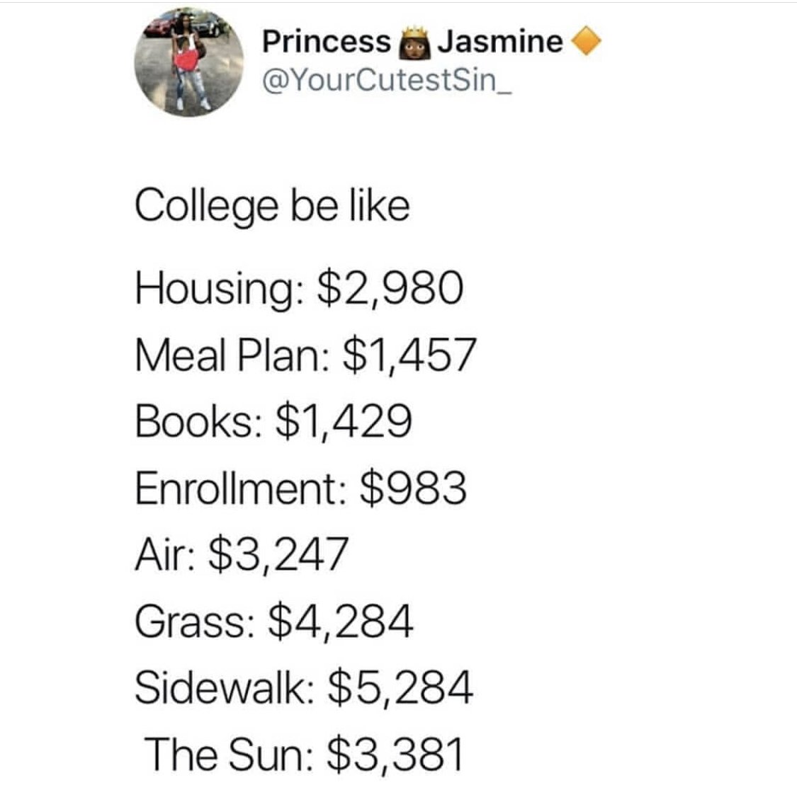animal - Princess Jasmine College be Housing $2,980 Meal Plan $1,457 Books $1,429 Enrollment $983 Air $3,247 Grass $4,284 Sidewalk $5,284 The Sun $3,381