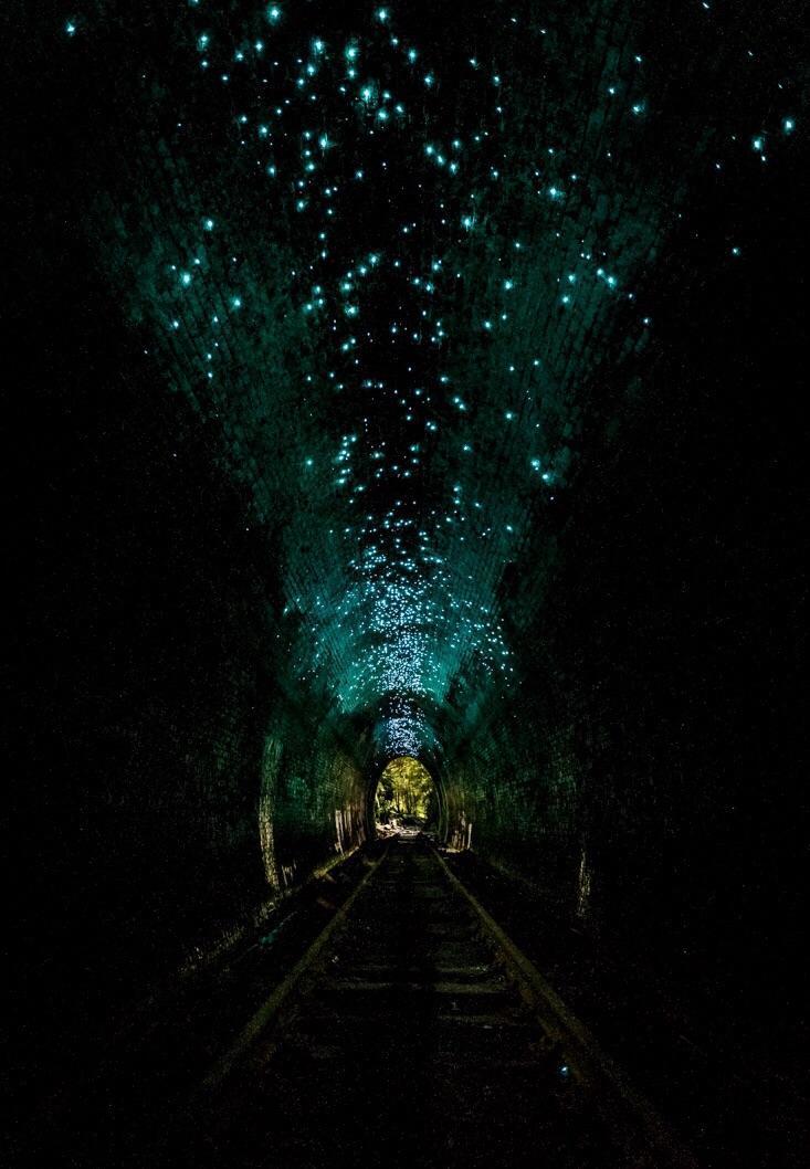 helensburgh glow worm tunnel