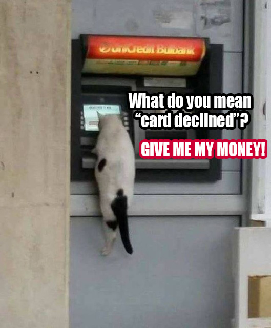 cat atm - What do you mean "card declined"? Give Me My Money!