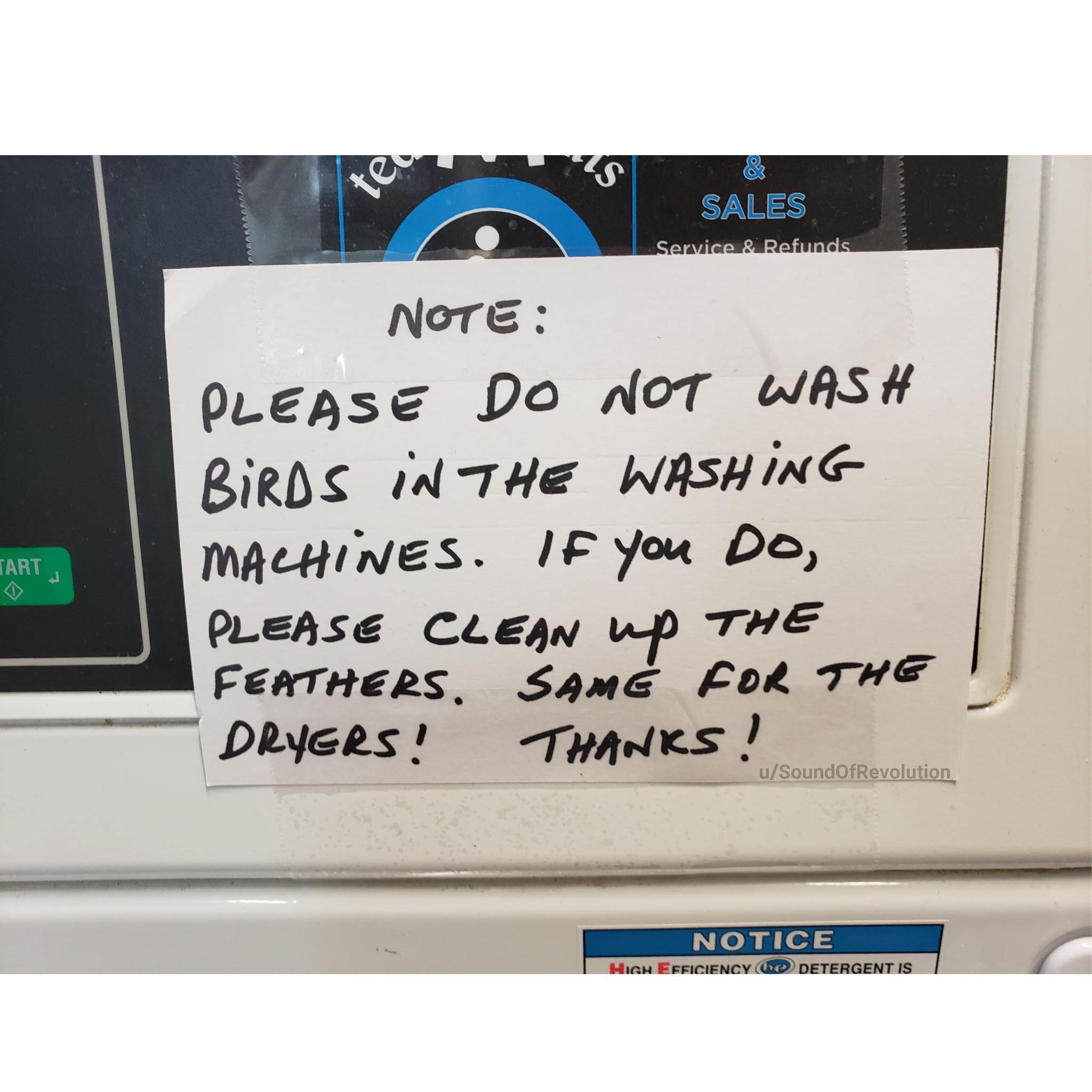 signage - Sales Service & Refunds Note Please Do Not Wash Birds In The Washing Machines. If you Do, Please Clean Up The Feathers. Sam For The Dryers! Thanks! Tart uSoundOfRevolution Notice High Efficiency O Detergent Is