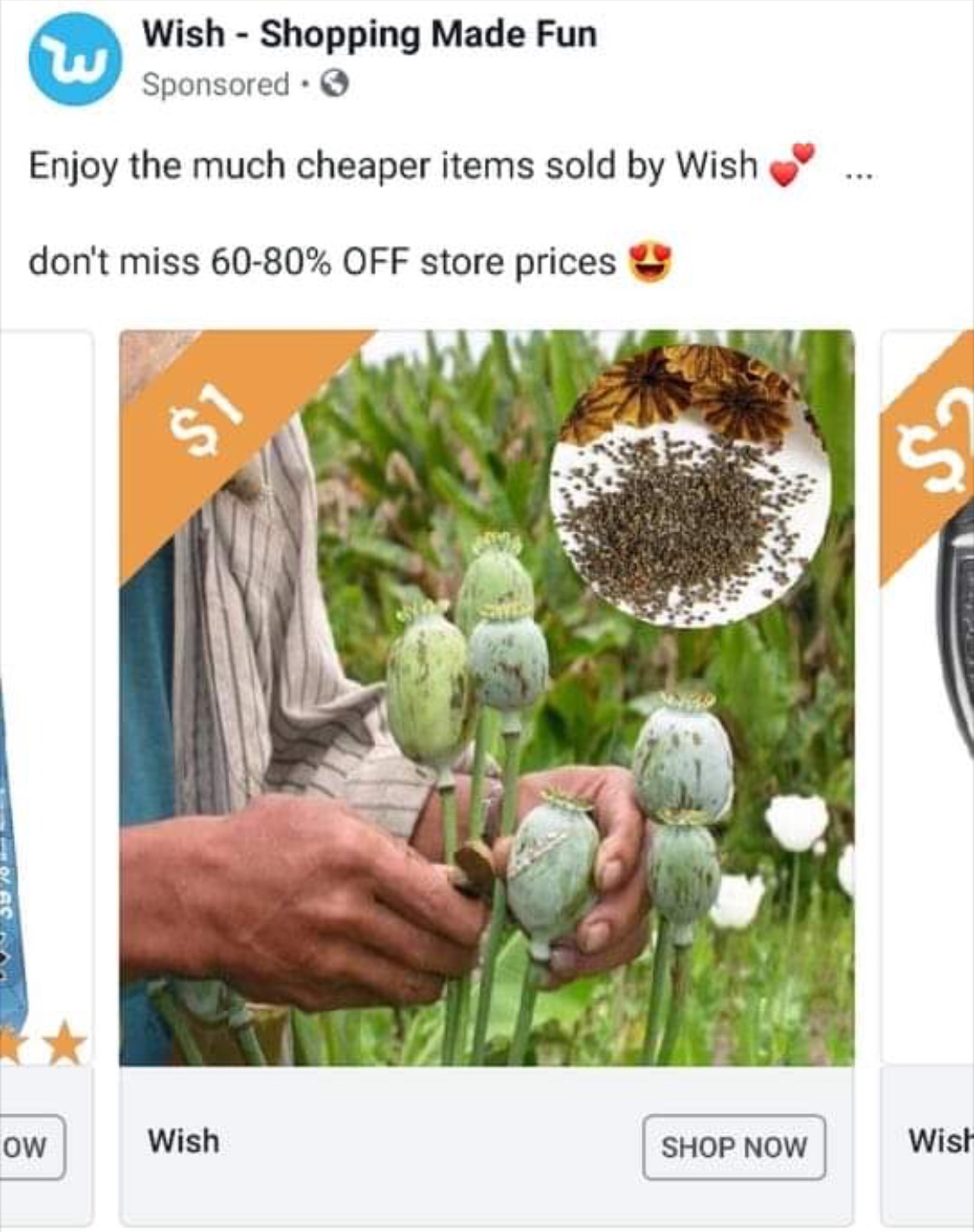 grass - Wish Shopping Made Fun Sponsored Enjoy the much cheaper items sold by Wish ... don't miss 6080% Off store prices Oasa Ow Wish Shop Now Wish