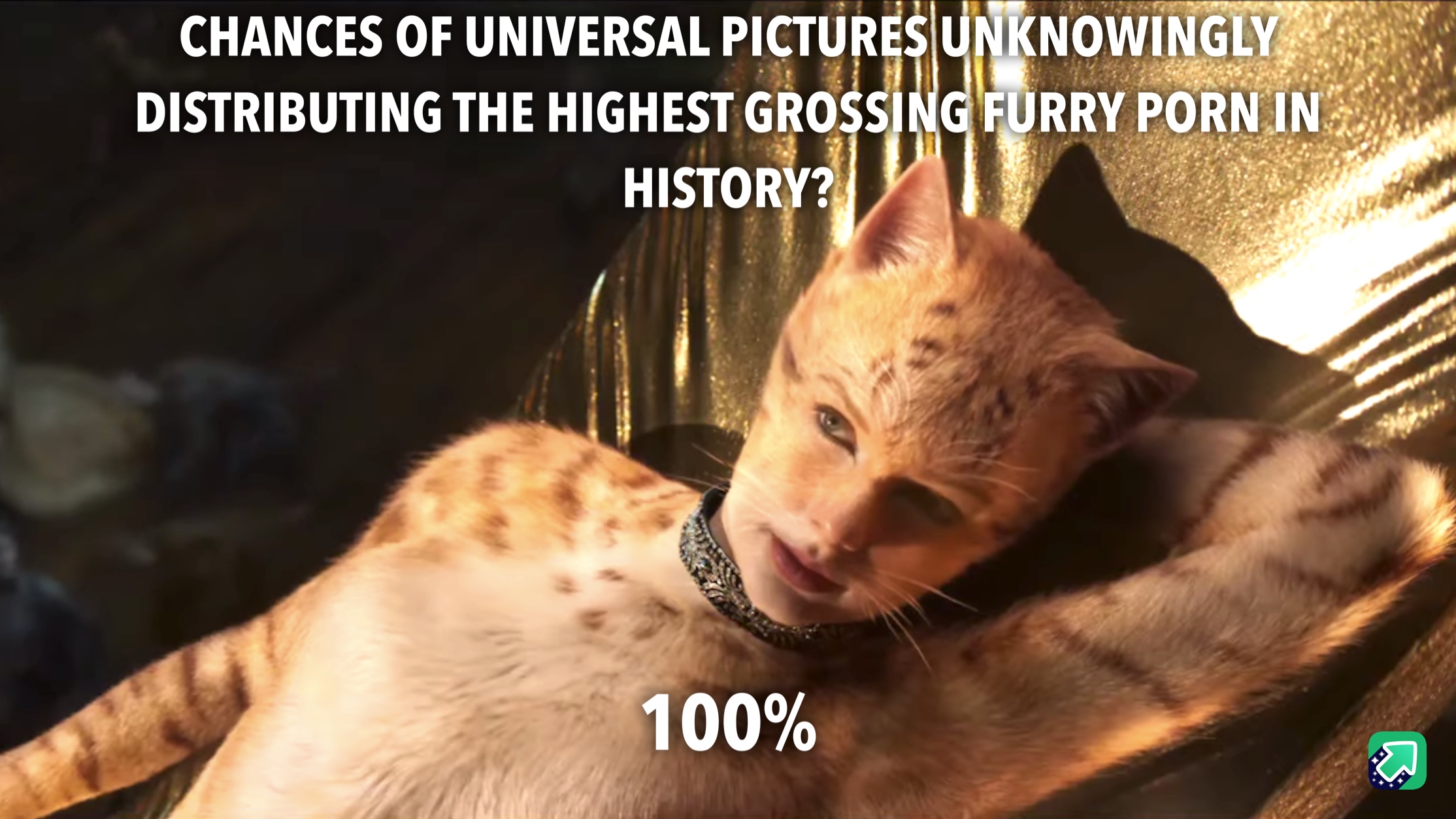 CATS Memes And Reactions That Will Make You Want To Gauge Your Eyes Out