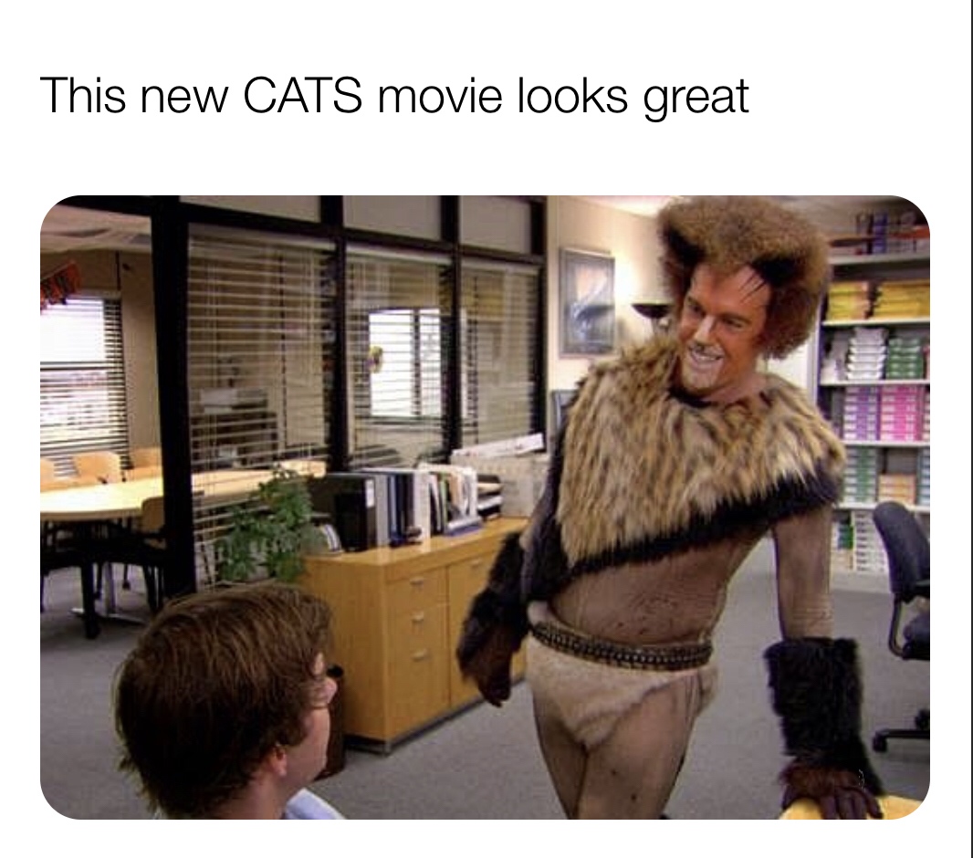 CATS Memes And Reactions That Will Make You Want To Gauge Your Eyes Out