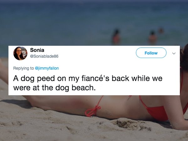 sand - Sonia A dog peed on my fianc's back while we were at the dog beach.