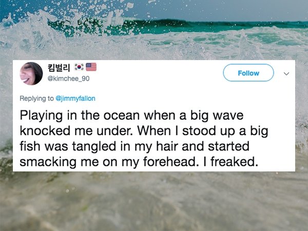water resources - Playing in the ocean when a big wave knocked me under. When I stood up a big fish was tangled in my hair and started smacking me on my forehead. I freaked.