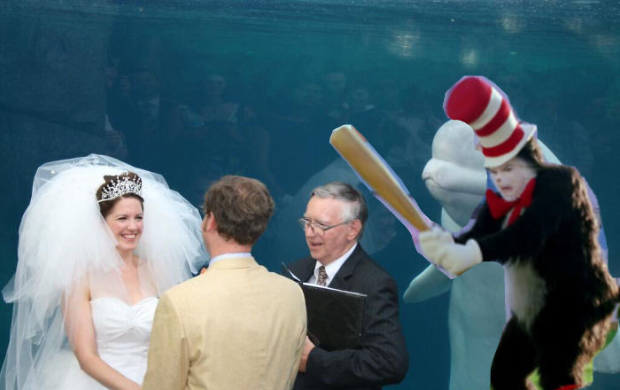 Beluga Whale Photobombing A Wedding Incites A Hilarious Photoshop Battle