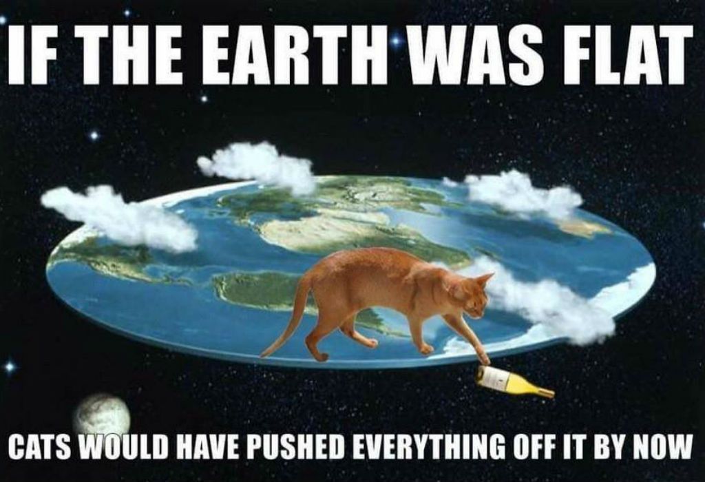cat meme - do crabs think fish can fly - If The Earth Was Flat Cats Would Have Pushed Everything Off It By Now
