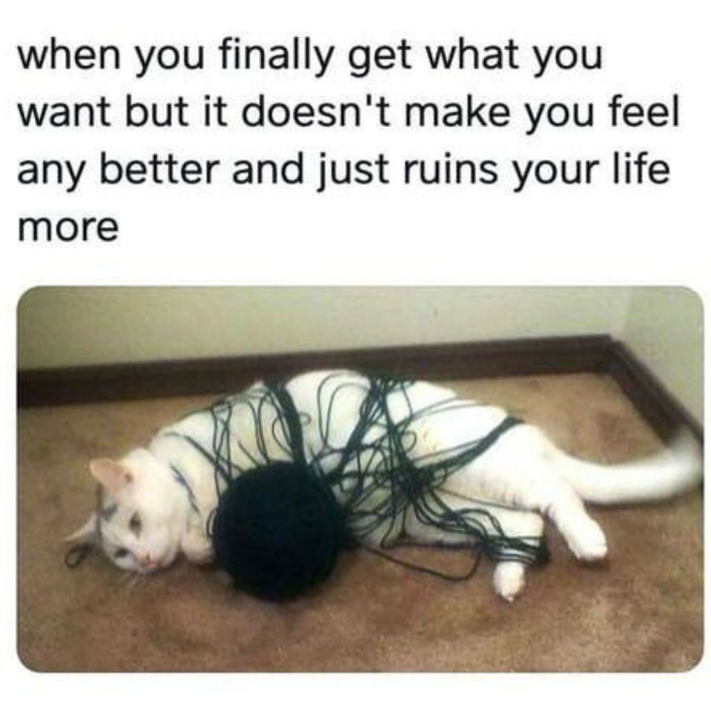cat meme - you finally get what you want - when you finally get what you want but it doesn't make you feel any better and just ruins your life more