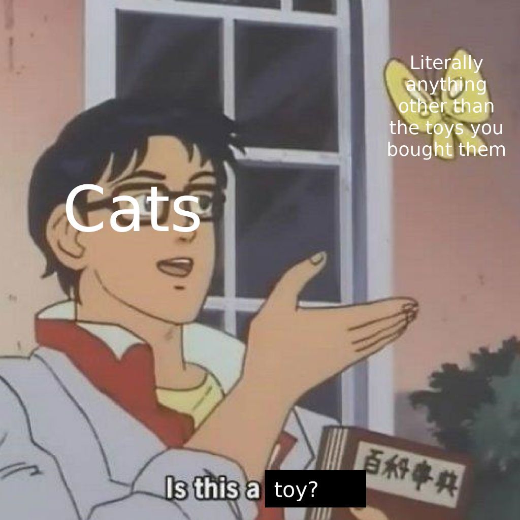 cat meme - yanny and laurel meme - Literally anything other than the toys you bought them Cats Is this a toy? #
