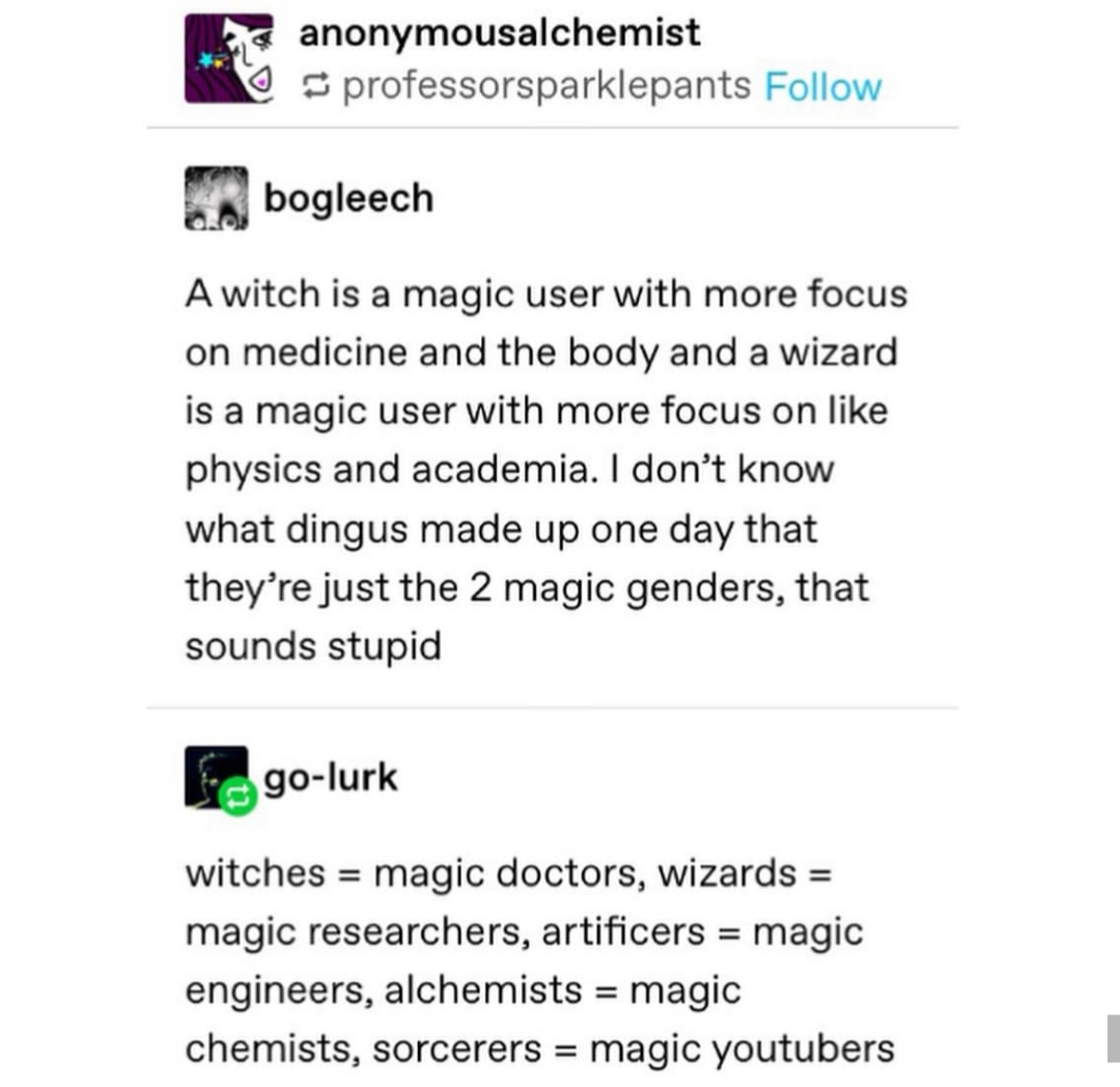 document - luke anonymousalchemist s professorsparklepants bogleech A witch is a magic user with more focus on medicine and the body and a wizard is a magic user with more focus on physics and academia. I don't know what dingus made up one day that they'r