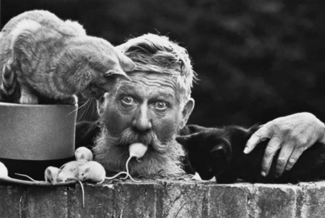 don mccullin snowy