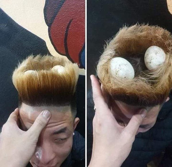 bird nest in man's hair