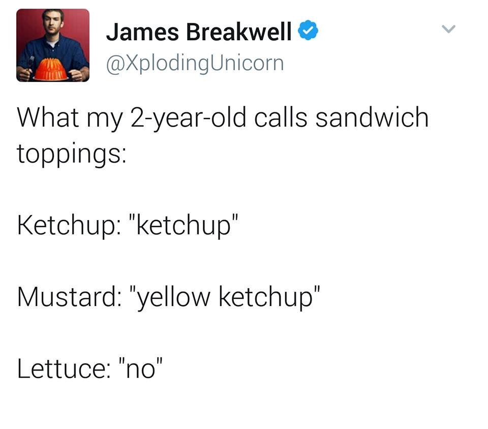 geoff meme - James Breakwell What my 2yearold calls sandwich toppings Ketchup "ketchup" Mustard "yellow ketchup" Lettuce "no"