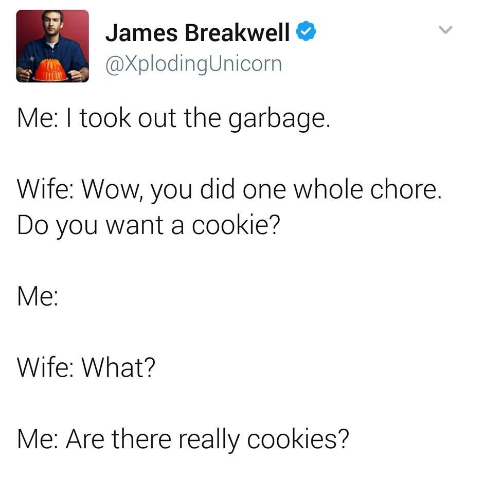 James Breakwell Me I took out the garbage. Wife Wow, you did one whole chore. Do you want a cookie? Me Wife What? Me Are there really cookies?