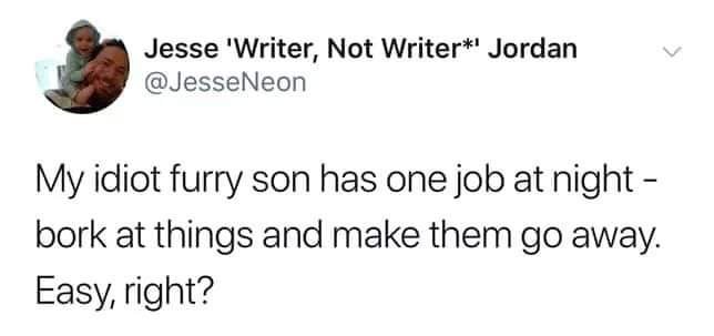Jesse 'Writer, Not Writeri Jordan My idiot furry son has one job at night bork at things and make them go away. Easy, right?