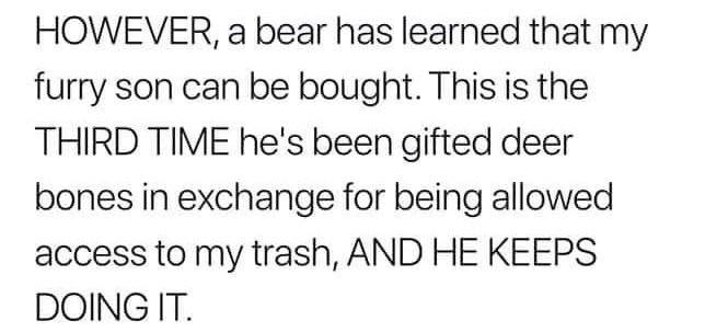 Cell - However, a bear has learned that my furry son can be bought. This is the Third Time he's been gifted deer bones in exchange for being allowed access to my trash, And He Keeps Doing It.