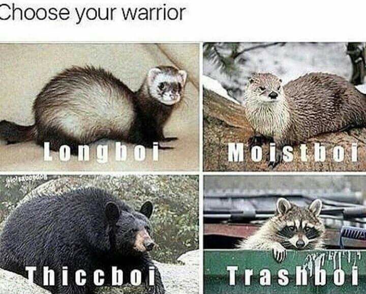 choose your warrior meme - Choose your warrior " Alohou Thiccboi Tras Kb 0 i