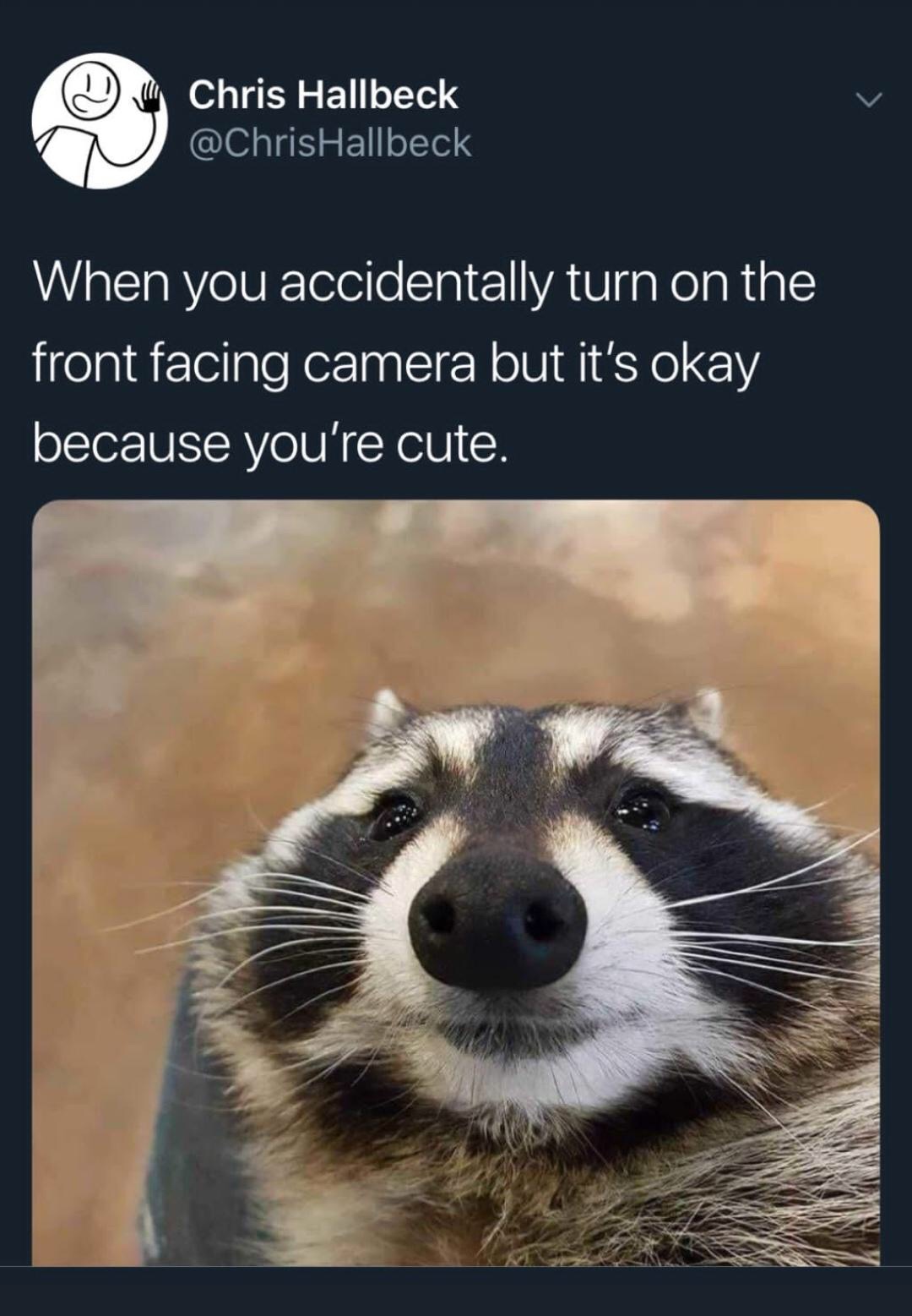 raccoon meme - Chris Hallbeck Hallbeck When you accidentally turn on the front facing camera but it's okay because you're cute.