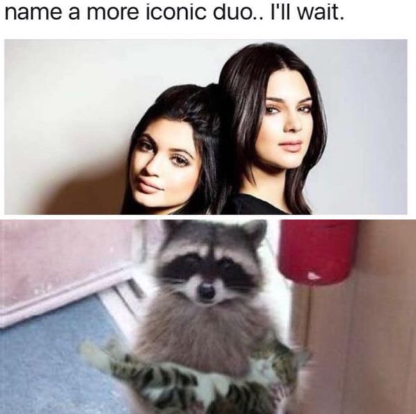 raccoons with guns - name a more iconic duo.. I'll wait.