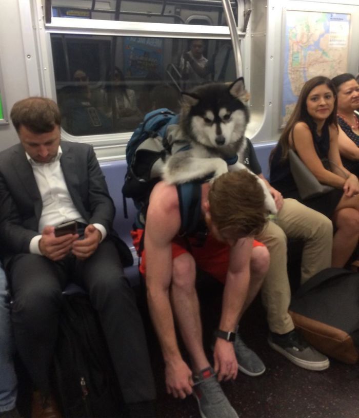 Things Seen On The Subway