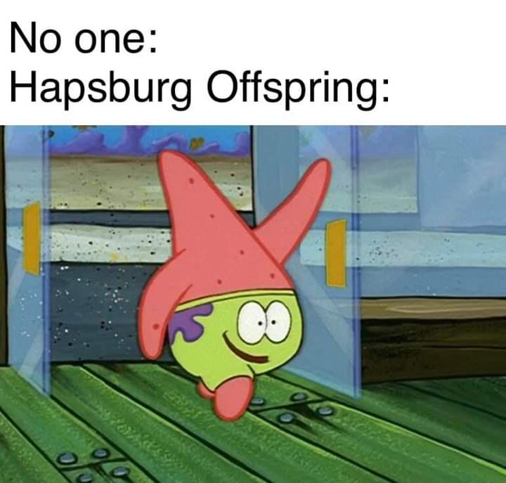 volunteer match - No one Hapsburg Offspring