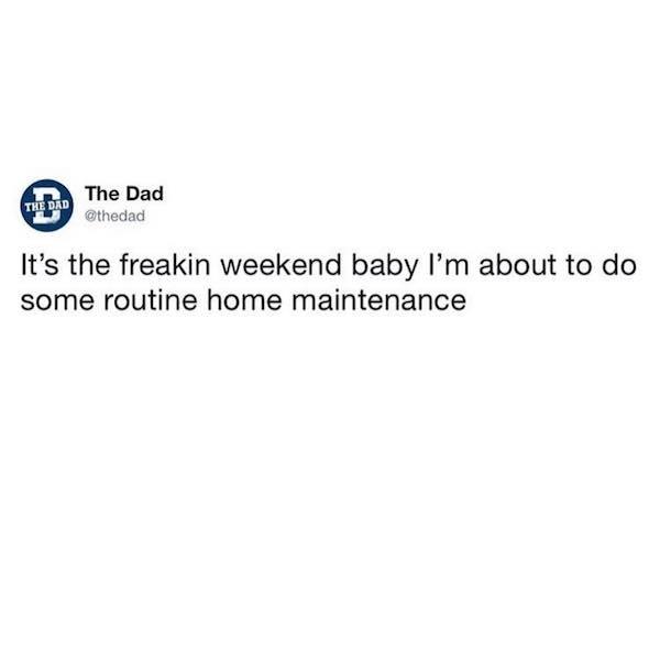 The Dad The Dad It's the freakin weekend baby I'm about to do some routine home maintenance