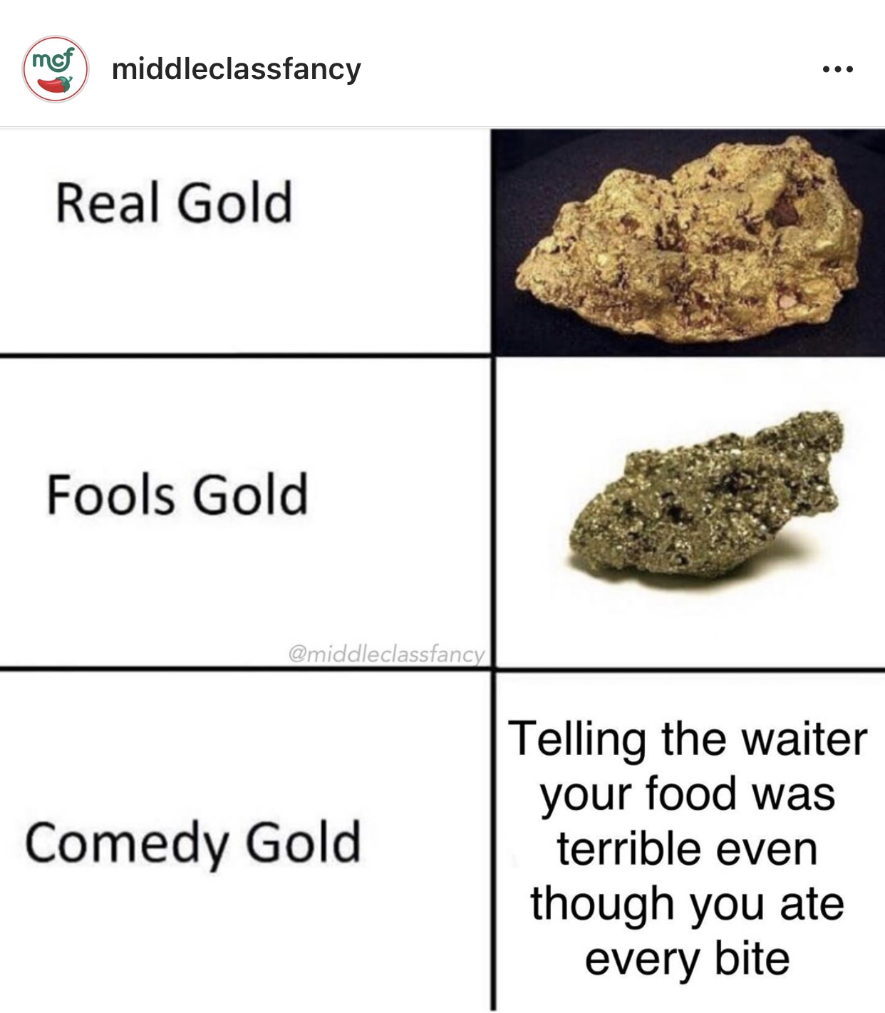 real gold fools gold comedy gold meme - mor middleclassfancy Real Gold Fools Gold Comedy Gold Telling the waiter your food was terrible even though you ate every bite