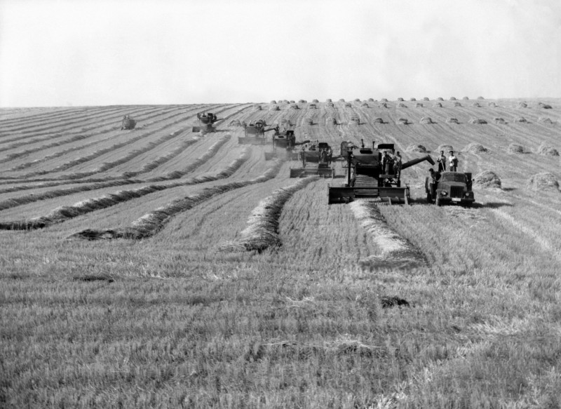 August 12 1969. Harvesting in the village of Zlatia, Bulgaria.