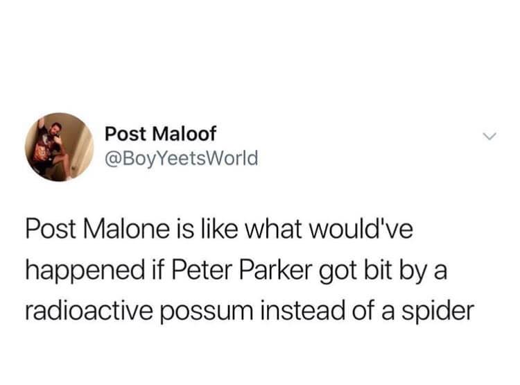music memes - Post Maloof Post Malone is what would've happened if Peter Parker got bit by a radioactive possum instead of a spider
