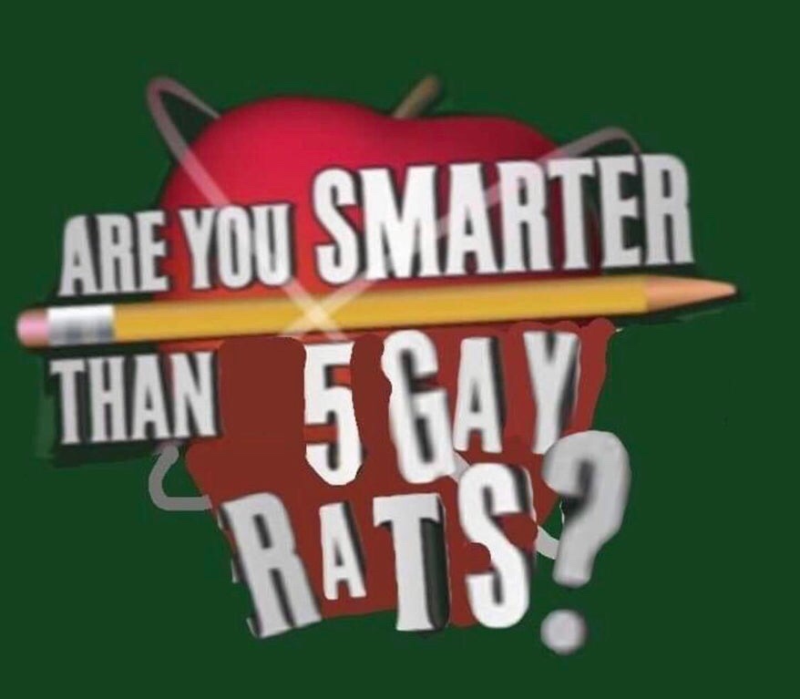 Pansexuality - Are You Smarter Than 5 Gay Rats?