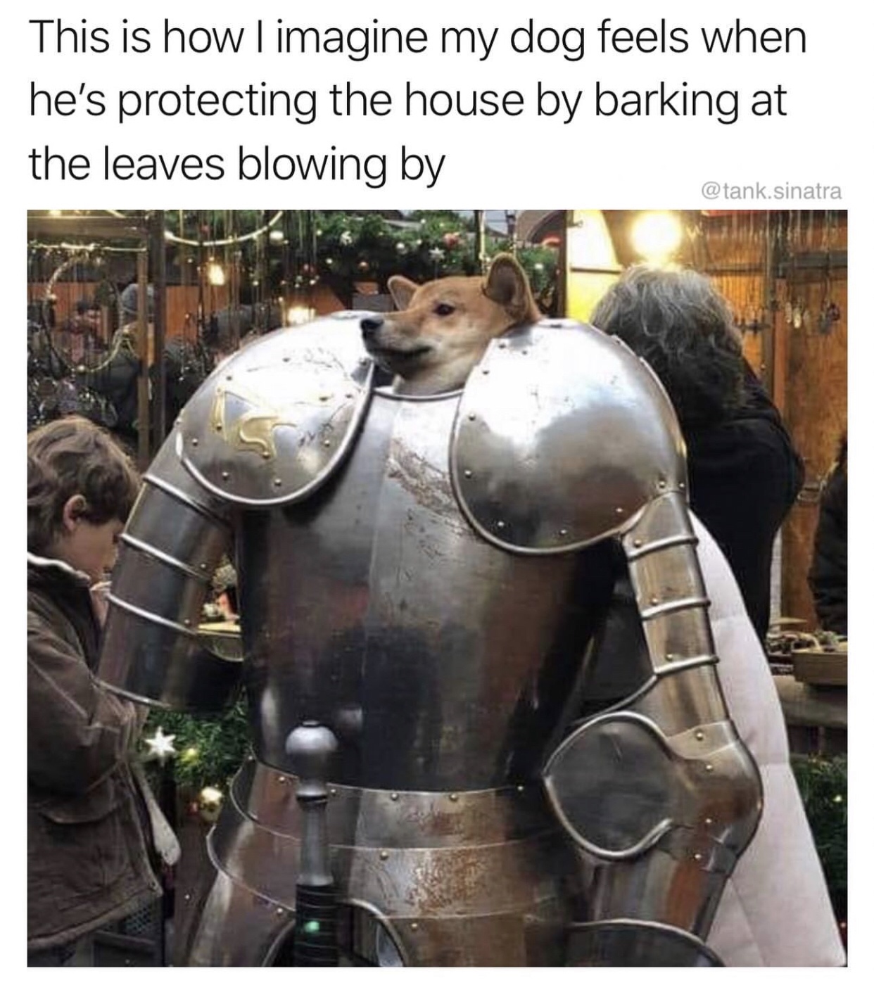 greater dog irl - This is how I imagine my dog feels when he's protecting the house by barking at the leaves blowing by sinatra