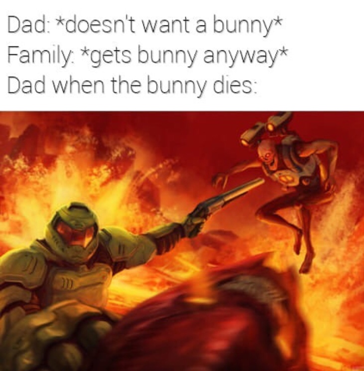 Dad doesn't want a bunny Family gets bunny anyway Dad when the bunny dies