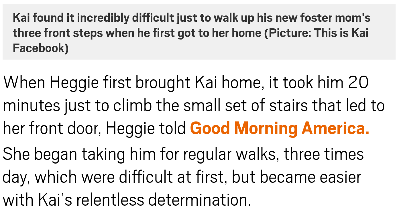 Kai found it incredibly difficult just to walk up his new foster mom's three front steps when he first got to her home Picture This is Kai Facebook When Heggie first brought Kai home, it took him 20 minutes just to climb the small set of stairs th