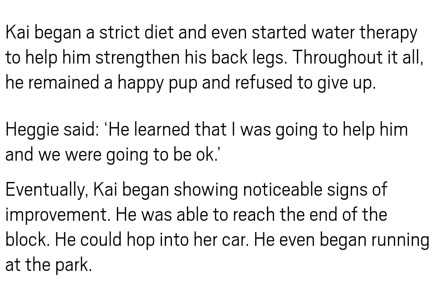 Kai began a strict diet and even started water therapy to help him strengthen his back legs. Throughout it all, he remained a happy pup and refused to give up. Heggie said 'He learned that I was going to help him and we were going to be