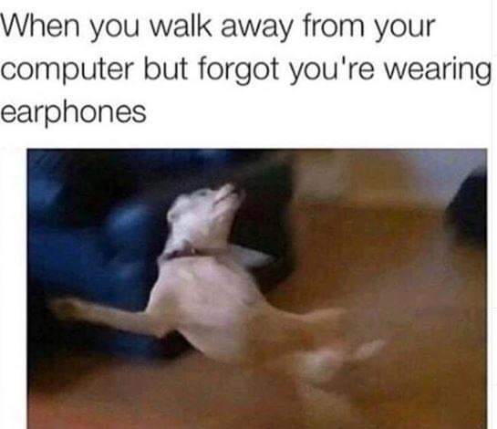 insanely funny memes - When you walk away from your computer but forgot you're wearing earphones