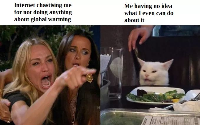 woman yelling at cat meme francais - Internet chastising me for not doing anything about global warming Me having no idea what I even can do about it