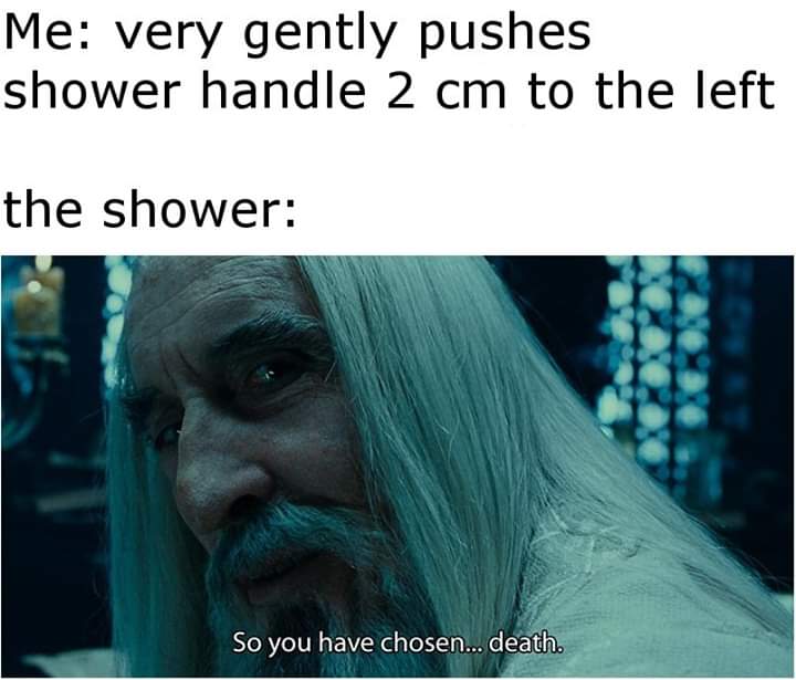 so you have chosen death meme - Me very gently pushes shower handle 2 cm to the left the shower So you have chosen... death.
