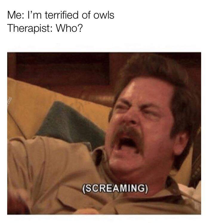 im terrified of owls - Me I'm terrified of owls Therapist Who? Screaming