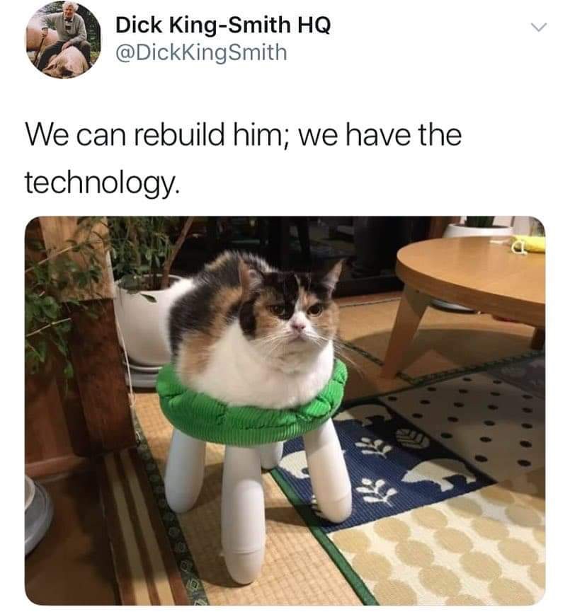 cat on stool meme - Dick KingSmith Hq We can rebuild him; we have the technology.