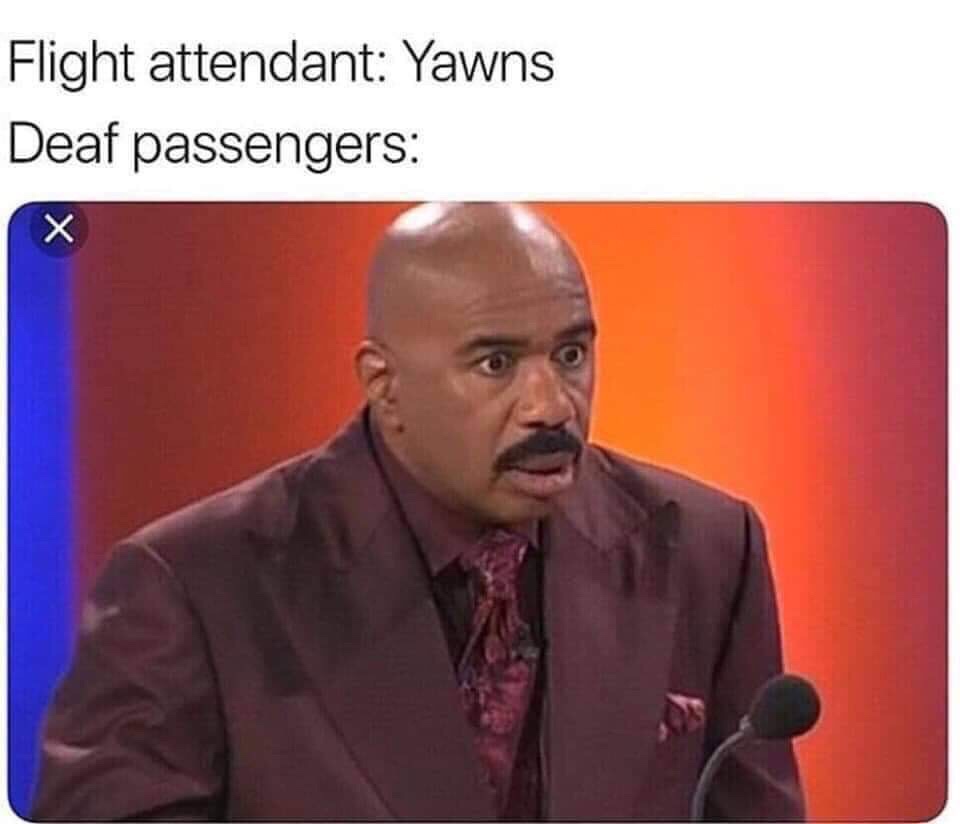 flight attendant yawns meme - Flight attendant Yawns Deaf passengers