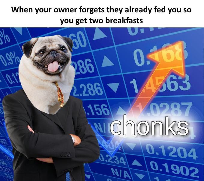 stonks meme sad - When your owner forgets they already fed you so you get two breakfasts 01 Am 1.9% 286 A 0.168 2.286 14563 1.156 0907 wchonks 3.234 10.1204 NA90 0.1902
