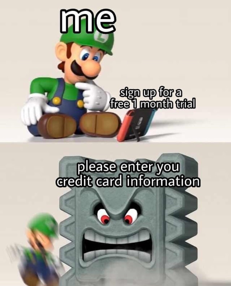 nintendo meme - sign up for a free 1 month trial please enter you credit card information