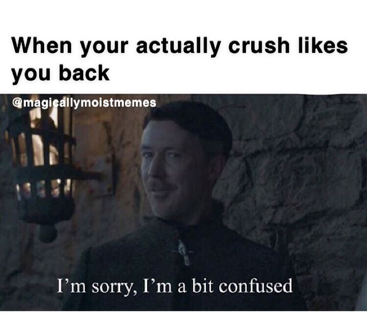photo caption - When your actually crush you back I'm sorry, I'm a bit confused